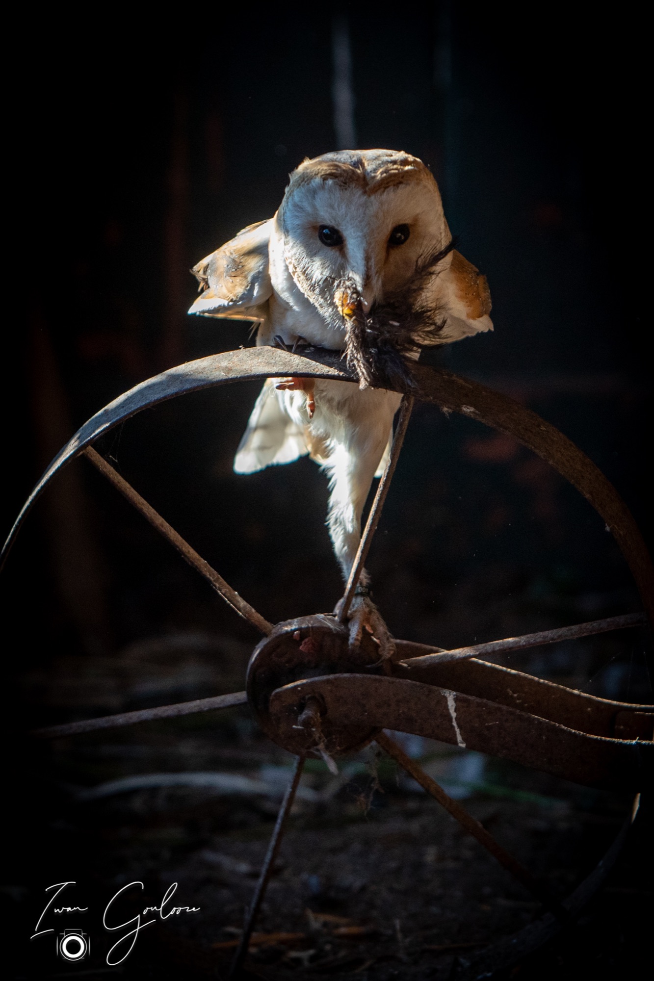 04 maart 2022 161032 1DX44228